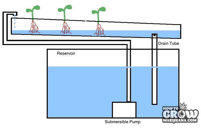 Continuous Flow Hydroponic System